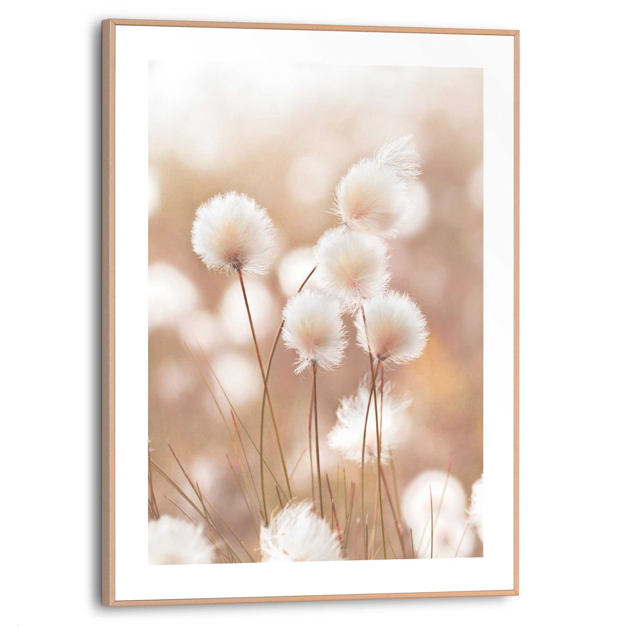Reinders! Bild mit Rahmen Cotton Pops
