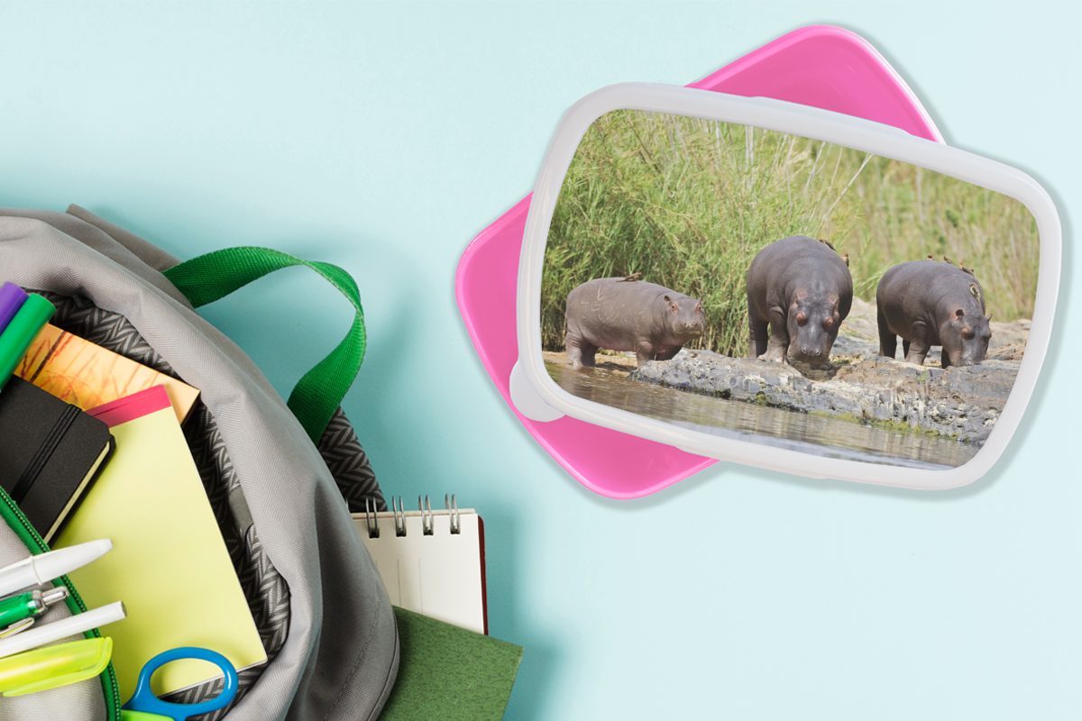 MuchoWow Lunchbox Flusspferde - Südafrika, Snackbox, rosa Erwachsene, - Brotdose Brotbox für (2-tlg), Kinder, Mädchen, Kunststoff Wasser Kunststoff