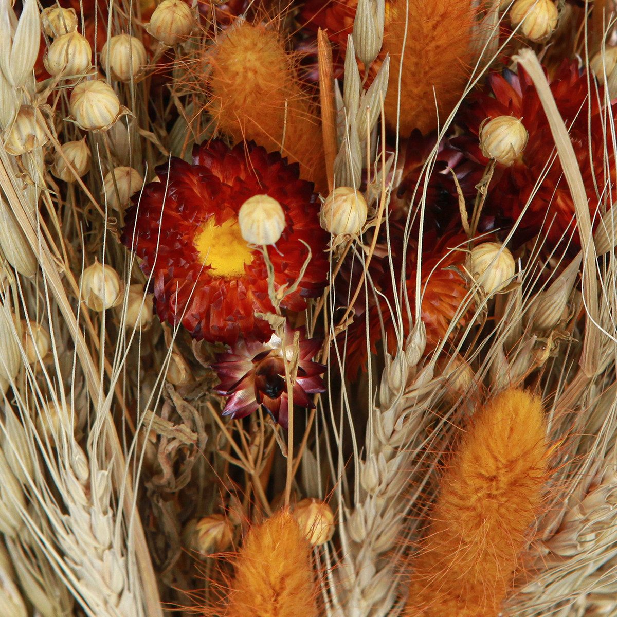 Trockenblume Dekorative Trockenblumenstrauß Orange-Mix, Natürliche Tischdek günstig online kaufen