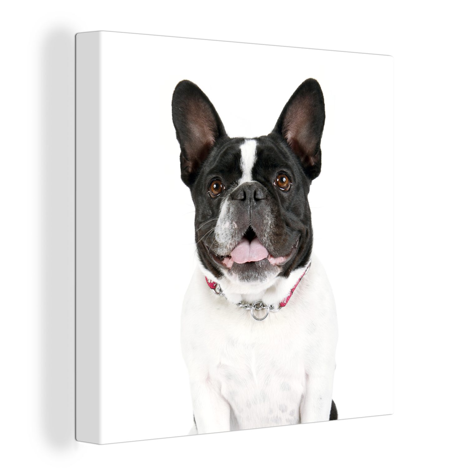 Französische OneMillionCanvasses® Bulldogge Schlafzimmer St), Schwarz - Leinwand Leinwandbild Weiß, für (1 - Bilder Wohnzimmer