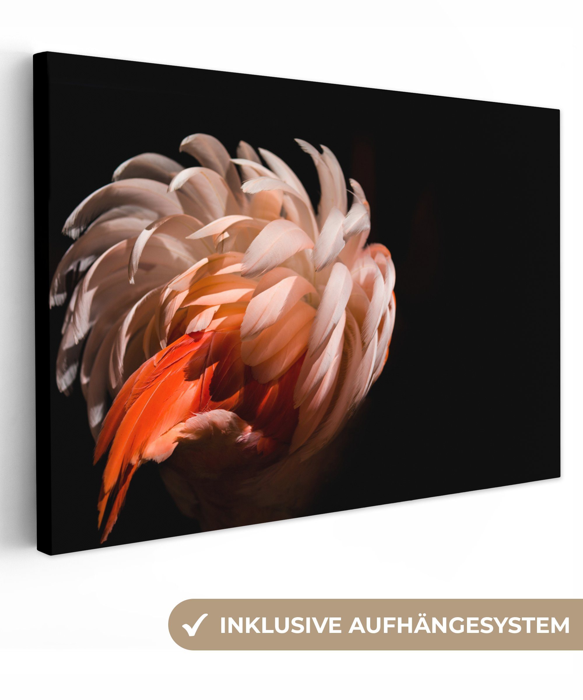 OneMillionCanvasses® Leinwandbild Flamingo - Wandbild Wanddeko, 30x20 Leinwandbilder, - - Makro, Licht Federn cm (1 Aufhängefertig, St)