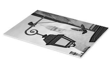 Posterlounge Forex-Bild Editors Choice, Montmartre-Tauben mit Sacre Coeur, Wohnzimmer Rustikal Fotografie