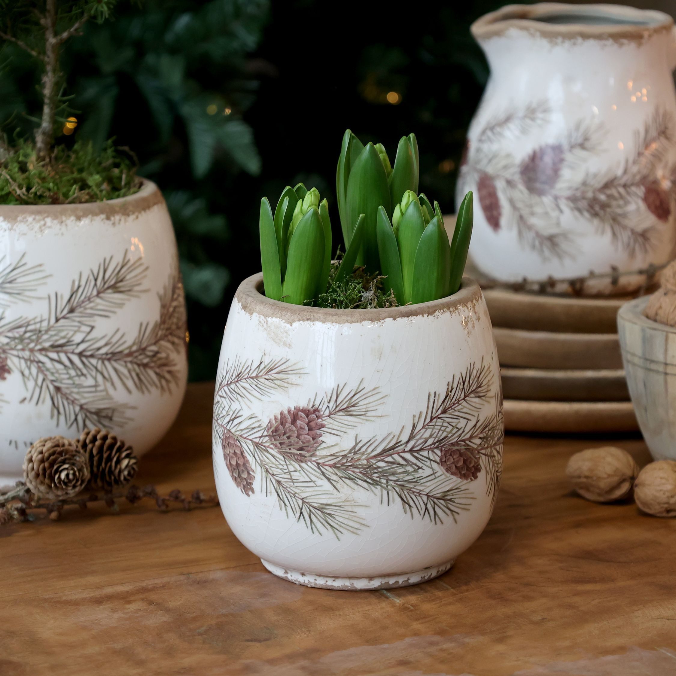 Chic Antique Übertopf Übertopf mit Tannengirlanden H14,5/D15 cm creme Herbs günstig online kaufen