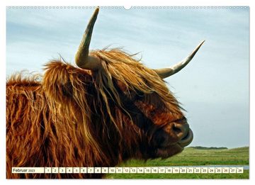 CALVENDO Wandkalender Die anmutigste Rinderrasse - Das schottische Hochlandrind (Premium, hochwertiger DIN A2 Wandkalender 2023, Kunstdruck in Hochglanz)