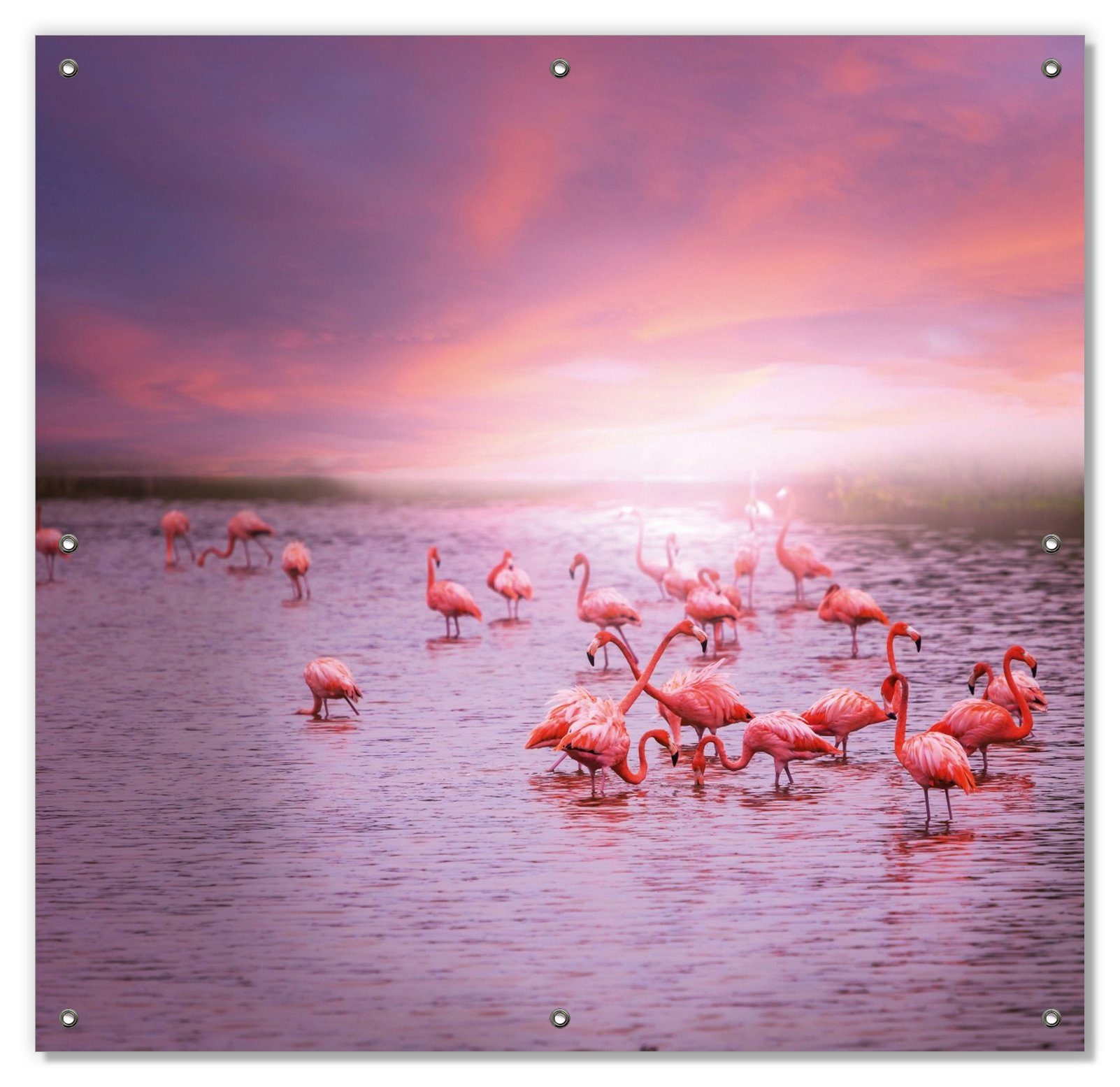 Sonnenschutz Rosa Flamingos bei Sonnenuntergang, wiederablösbar blickdicht, wiederverwendbar Wallario, Saugnäpfen, und mit