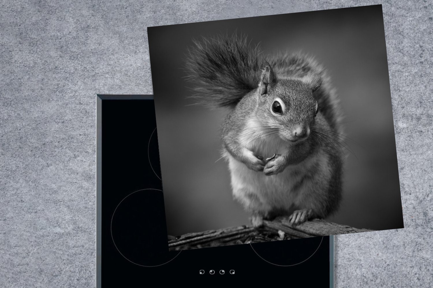 MuchoWow Herdblende-/Abdeckplatte Weiß, Neugieriges und Vinyl, in 78x78 Ceranfeldabdeckung, cm, für Arbeitsplatte (1 tlg), Schwarz küche Eichhörnchen