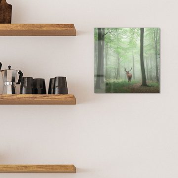 DEQORI Magnettafel 'Hirsch zwischen Bäumen', Whiteboard Pinnwand beschreibbar