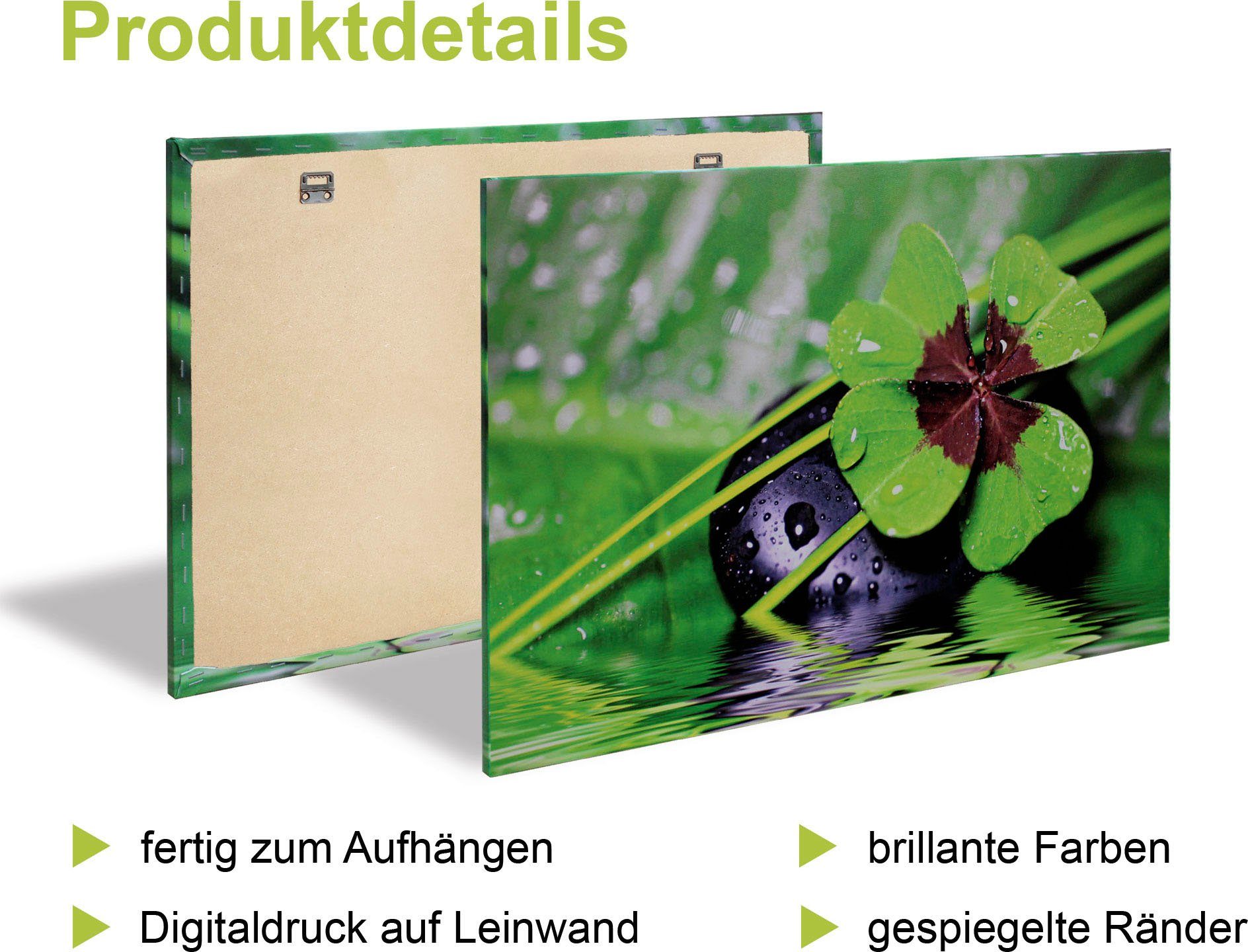 Artland Leinwandbild Frische Kräuter und Gewürze, Arrangements (4 St), 4er Set, verschiedene Größen