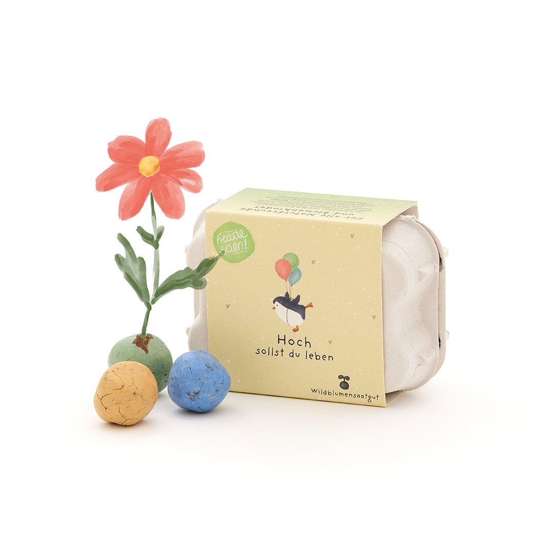 Blumensamen 6 Saatkugel mit Wildblumen-Saatgut im Mini-Eierkarton, Glückwunsch