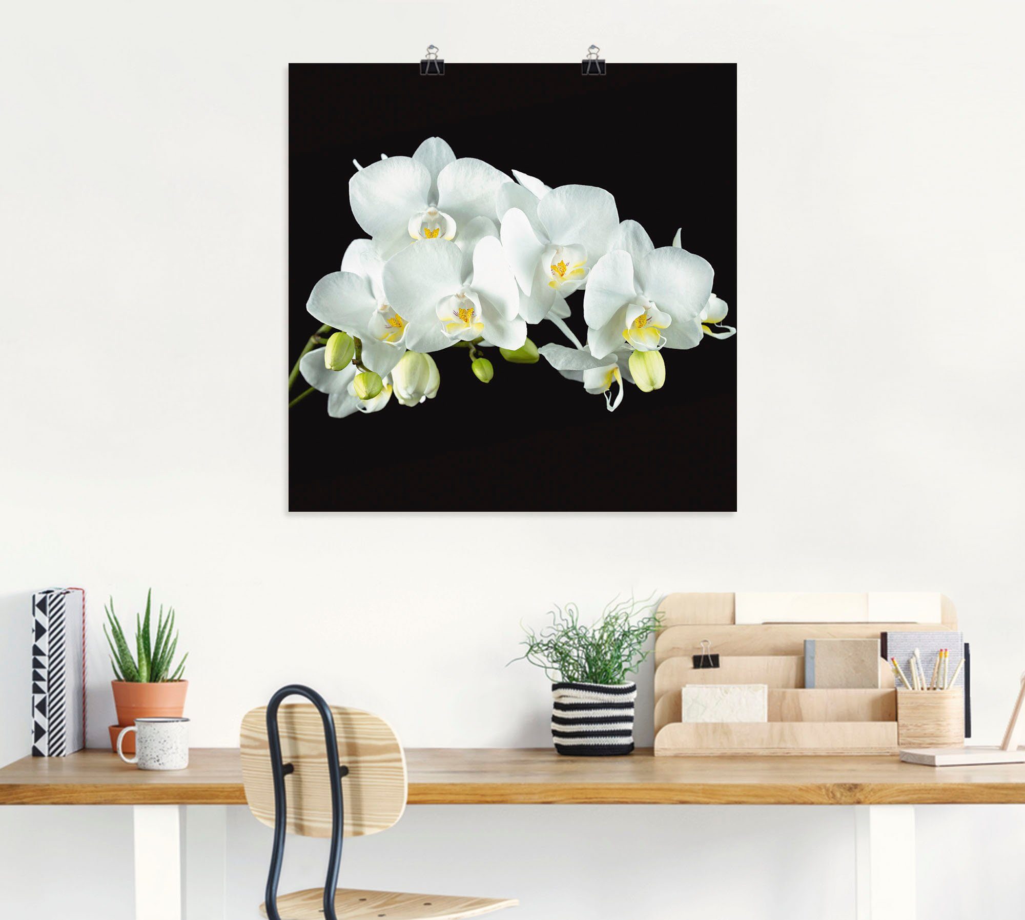 Artland Wandbild Weiße Orchidee auf Alubild, versch. als Poster Blumen Hintergrund, Größen schwarzem in (1 St), oder Leinwandbild, Wandaufkleber