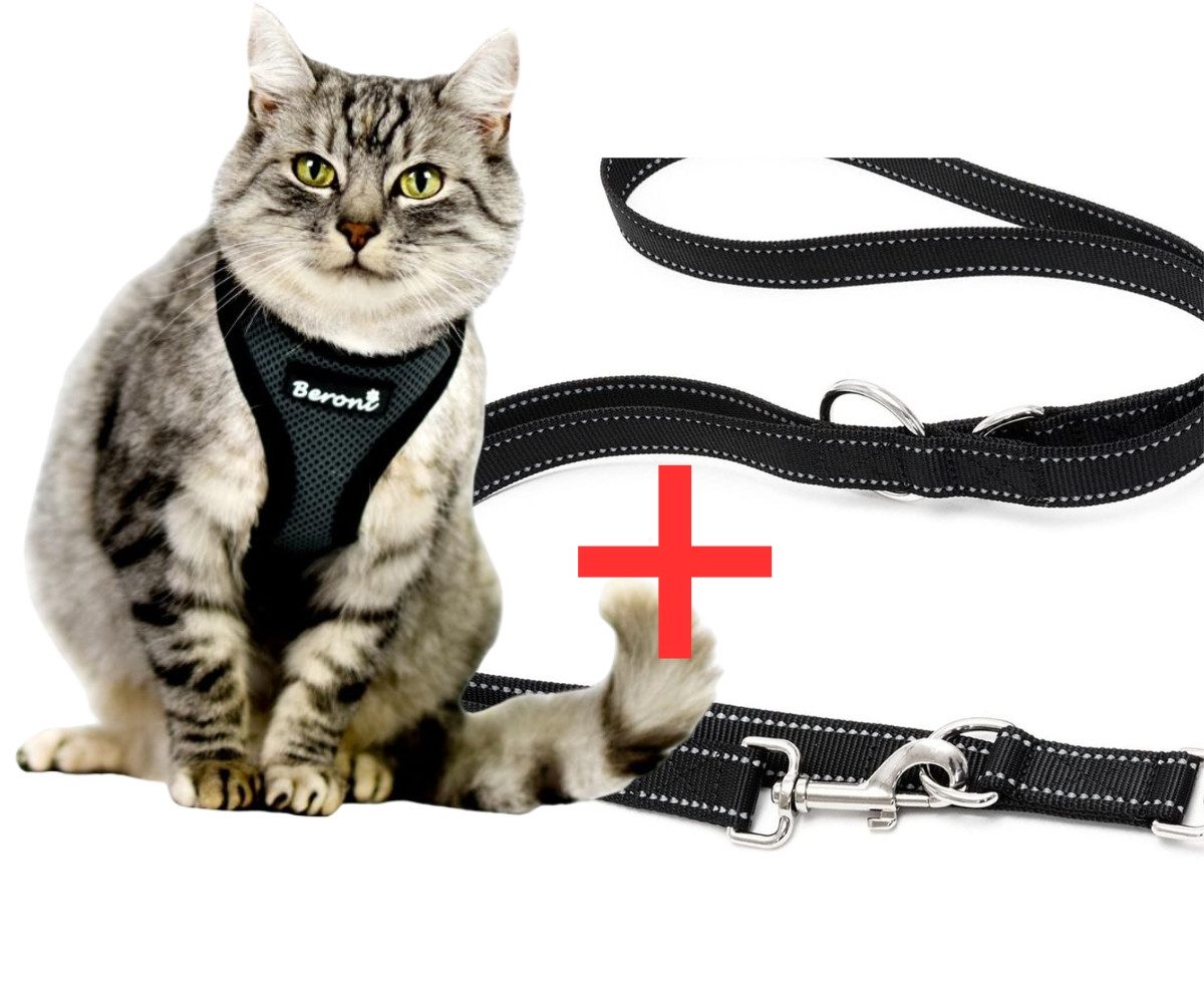 Beroni Geschirr Katzengeschirr Kitten Babykatzen grau günstig online kaufen
