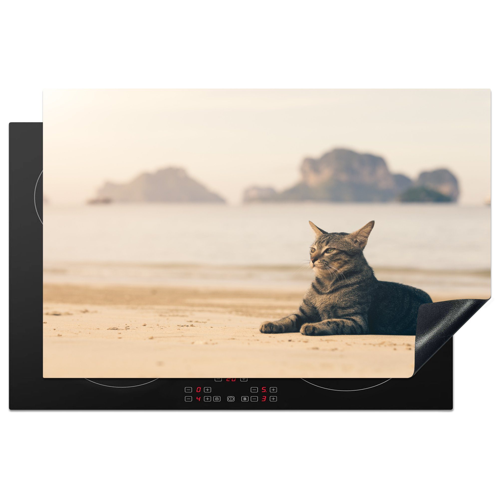 MuchoWow Herdblende-/Abdeckplatte Katze liegt am Strand, Vinyl, (1 tlg), 81x52 cm, Induktionskochfeld Schutz für die küche, Ceranfeldabdeckung