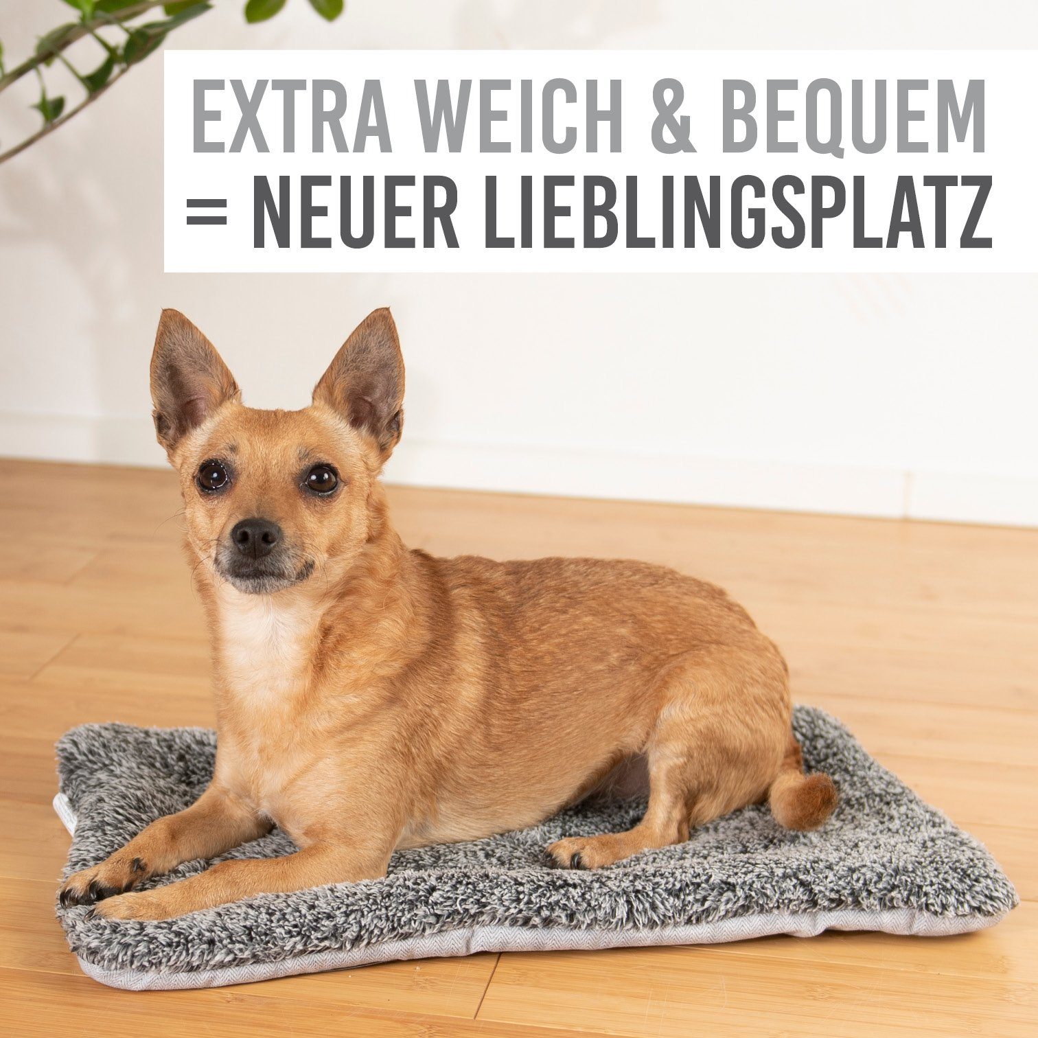 KaraLuna Tierdecke Hunde Liegematte I Hundedecke günstig online kaufen
