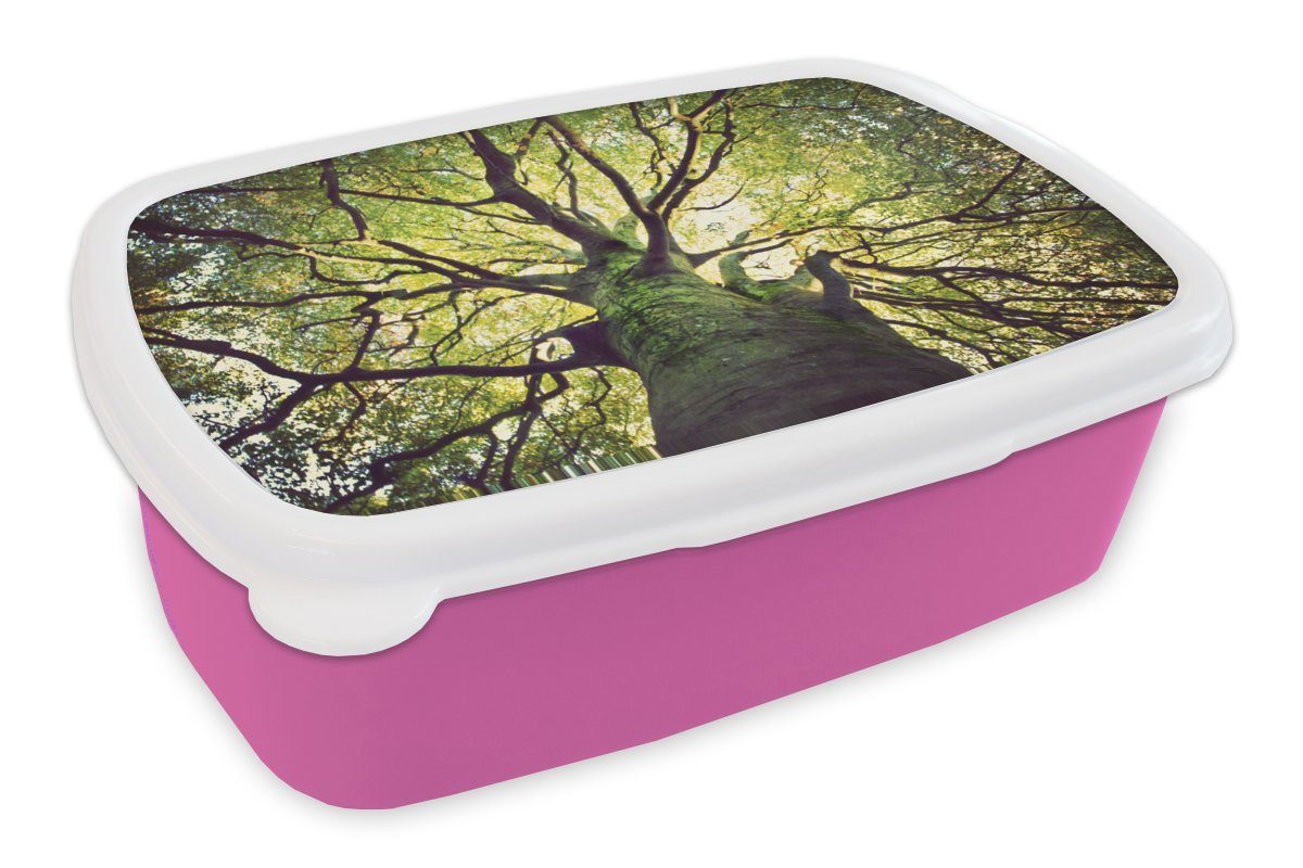 für rosa grünen MuchoWow (2-tlg), Brotbox Kunststoff Erwachsene, Brotdose Kinder, Zweige eines Kunststoff, Baumes, Snackbox, Mädchen, Beruhigende Lunchbox