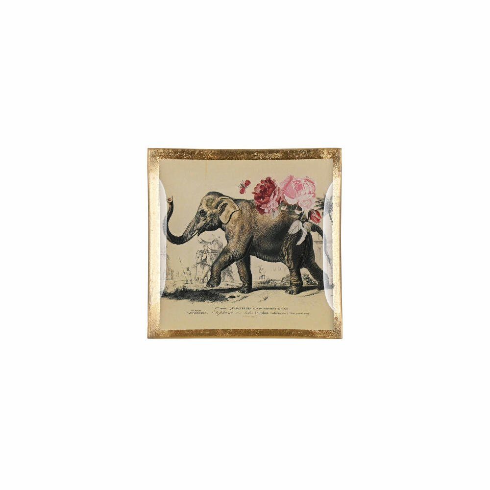 Love Giftcompany S Plates Elefant Dekoteller