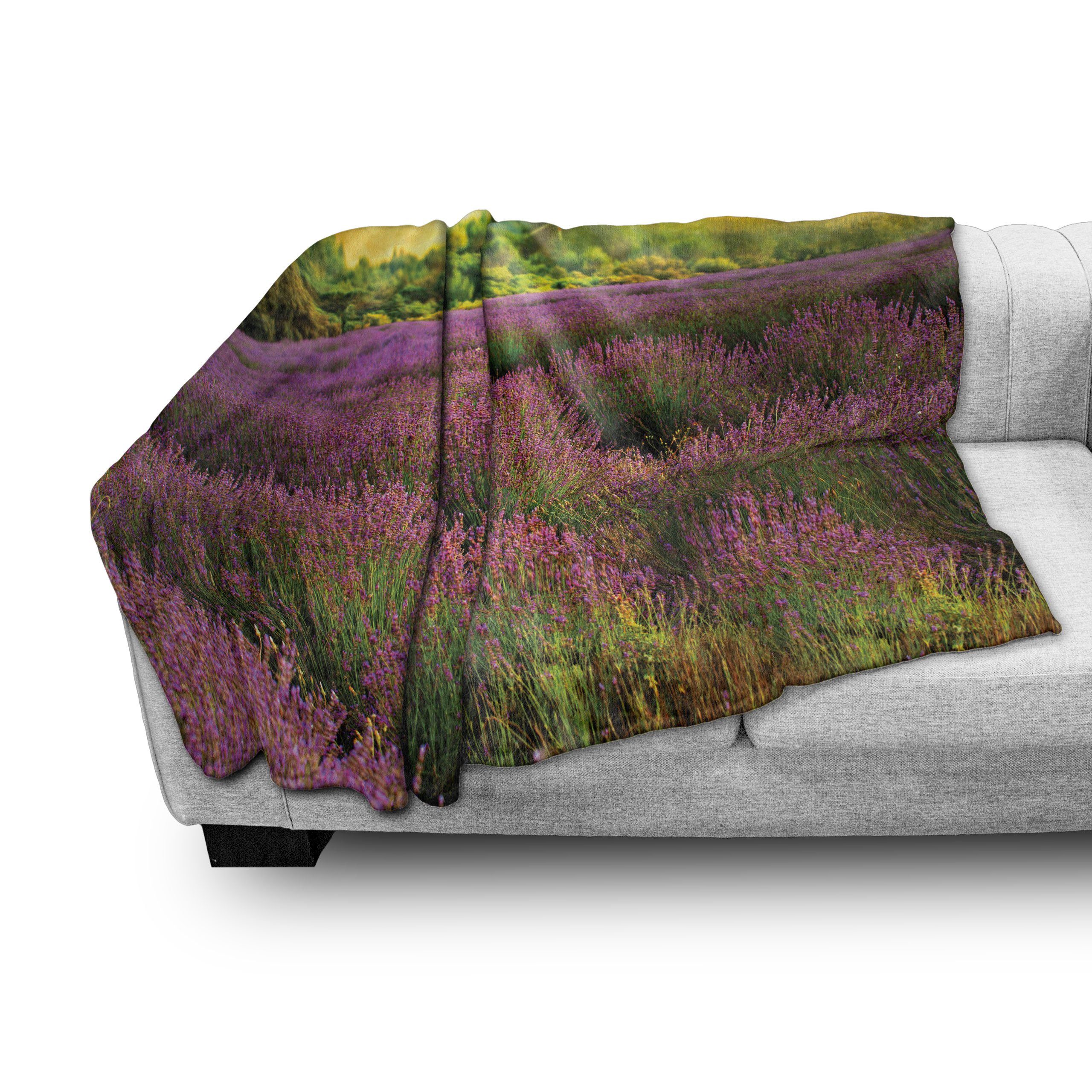 Wohndecke Gemütlicher Plüsch Französisch Außenbereich, Lavendelfeld für Foto den Innen- und Abakuhaus, Land