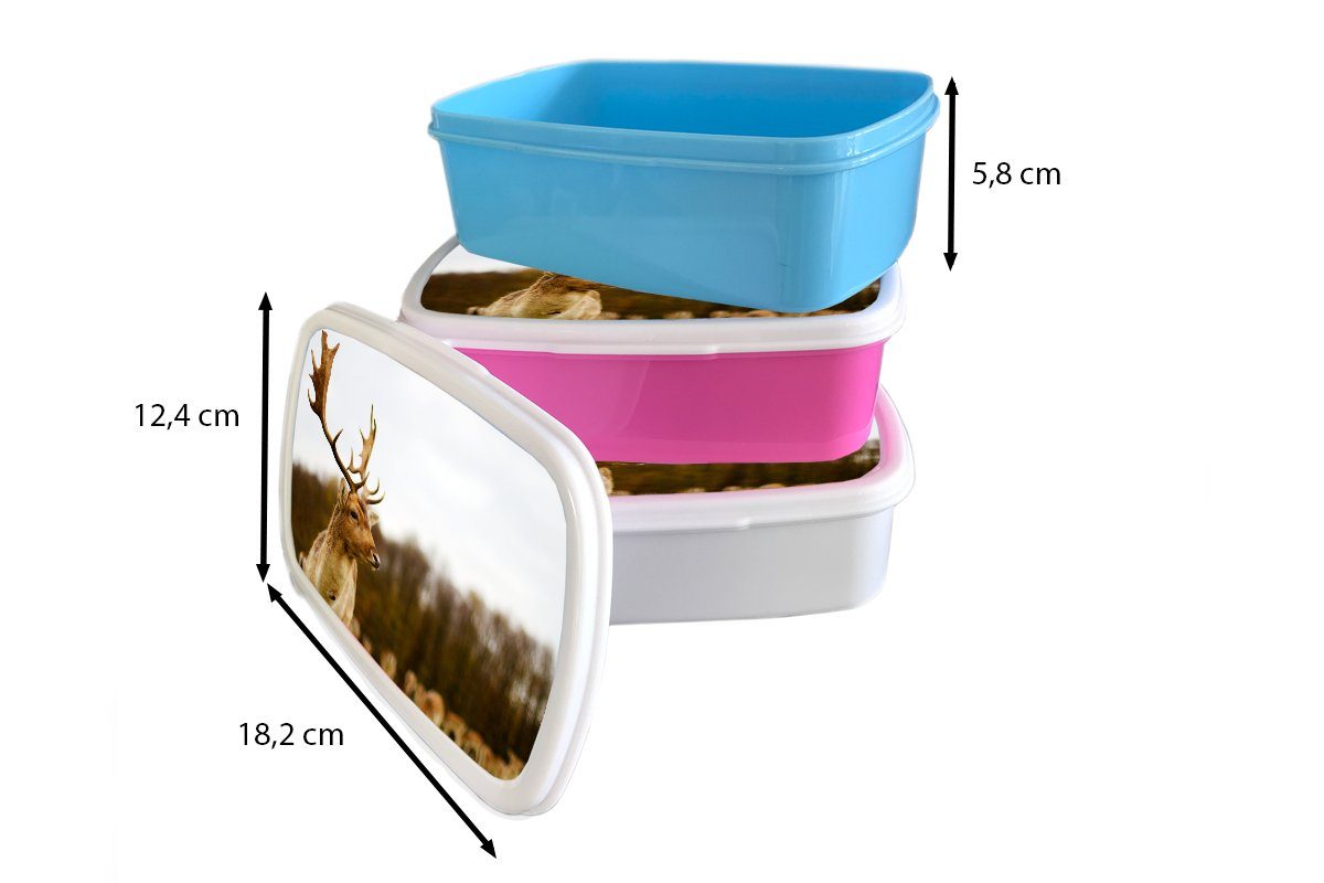 Brotdose, Wald und (2-tlg), für für und Tiere - - MuchoWow Kinder Natur, - Brotbox Kunststoff, Jungs Herde - Mädchen Erwachsene, Lunchbox weiß Damhirsch