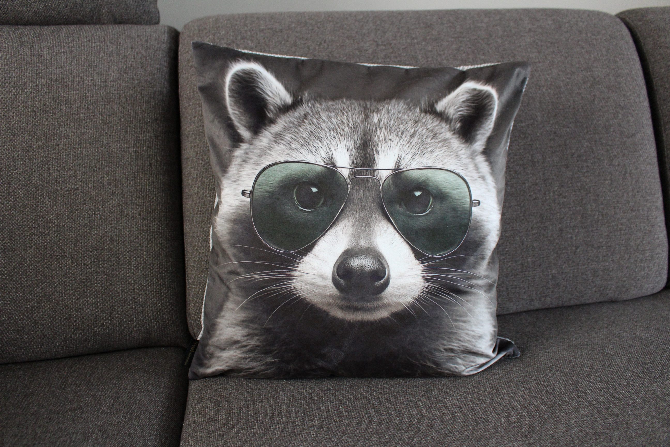 Yve! Decoration Kissenhülle Zierkissenhülle Waschbär Bill verschiedene Motive ca. 45 x 45 cm, (1 Stück), niedlich lustig dekorativer Kissenbezug