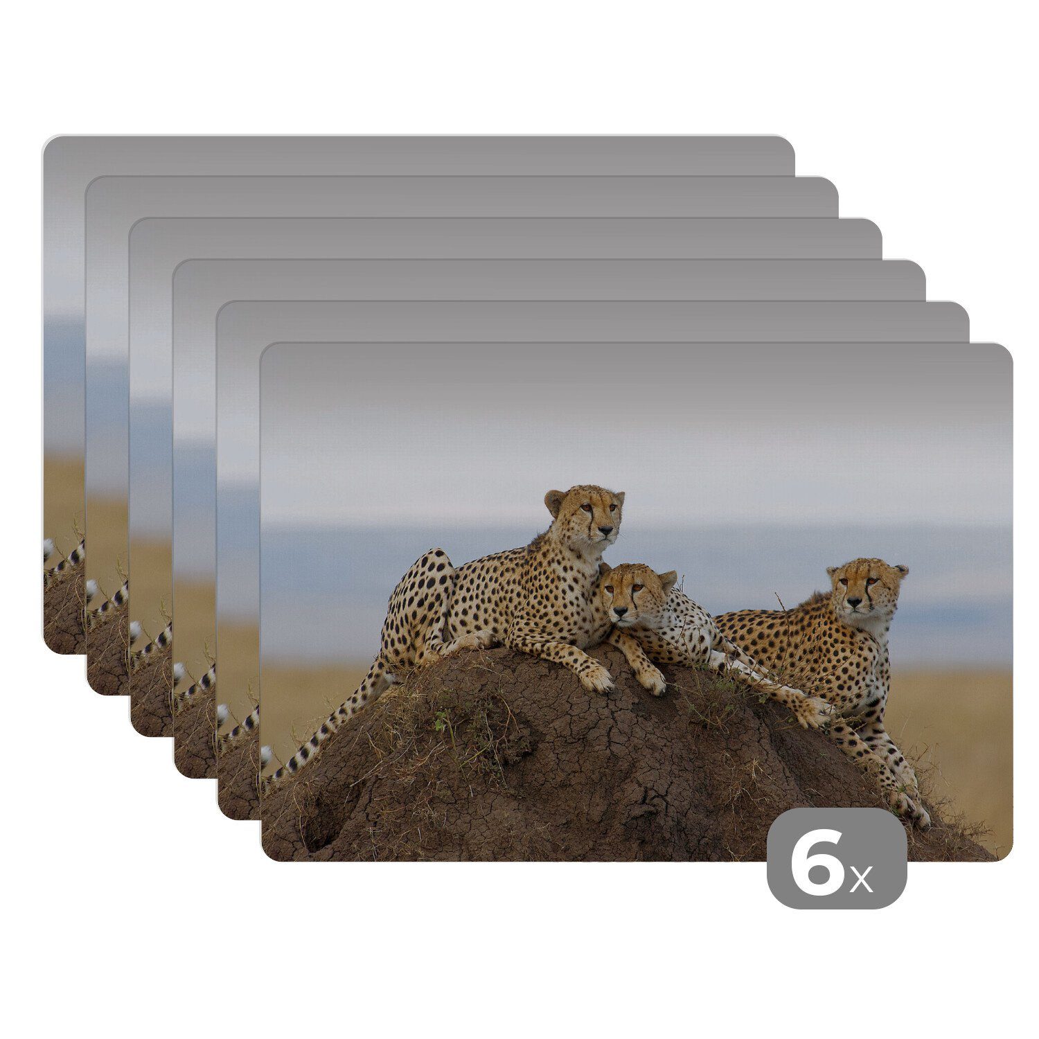 Platzset, Drei Geparden auf einem Aussichtshügel, MuchoWow, (6-St), Platzset, Platzdecken, Platzmatte, Tischmatten, Schmutzabweisend