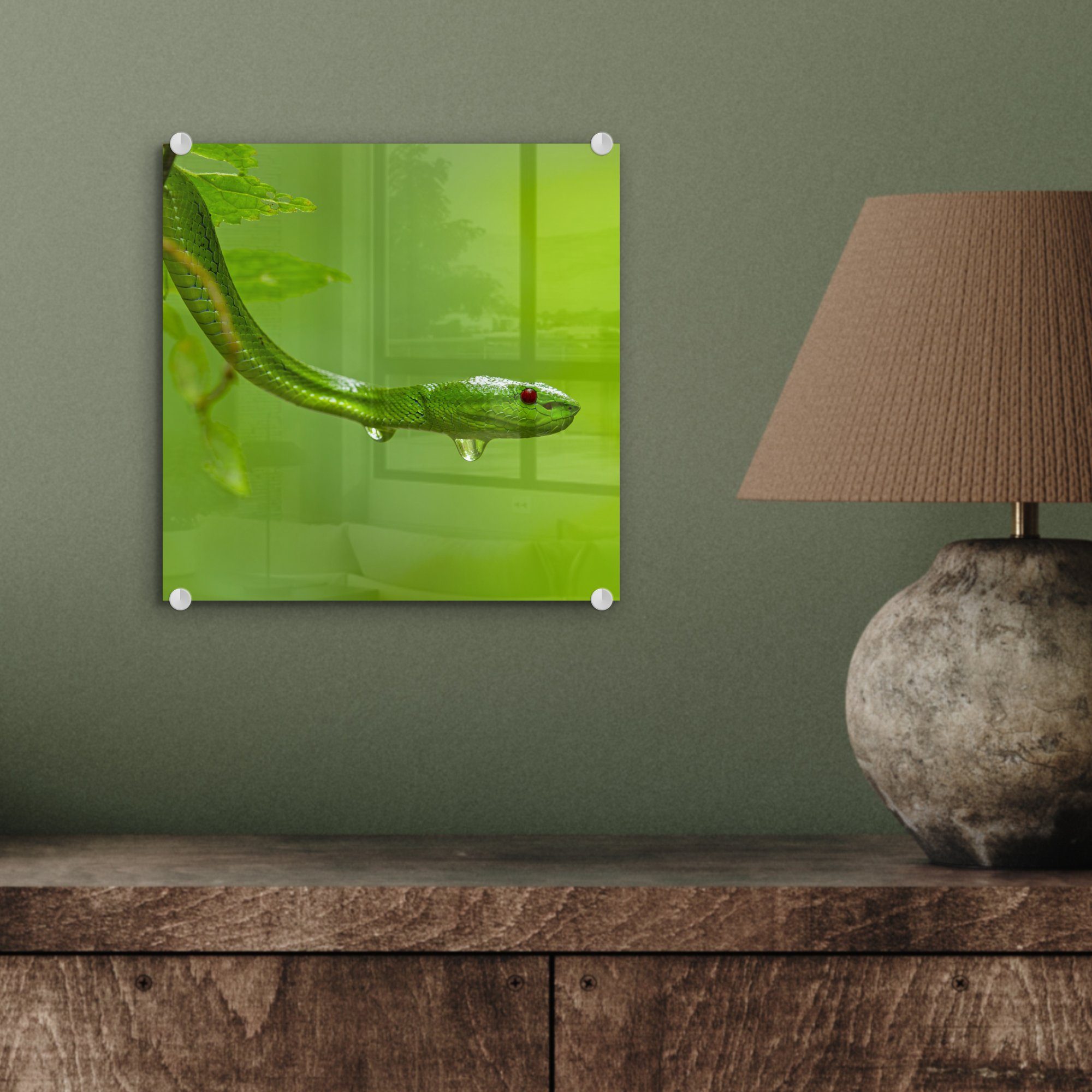 MuchoWow Acrylglasbild Grüne auf Nähe, Schlange Glasbilder auf Glas - der aus Foto - St), (1 - Bilder Glas Wanddekoration Wandbild