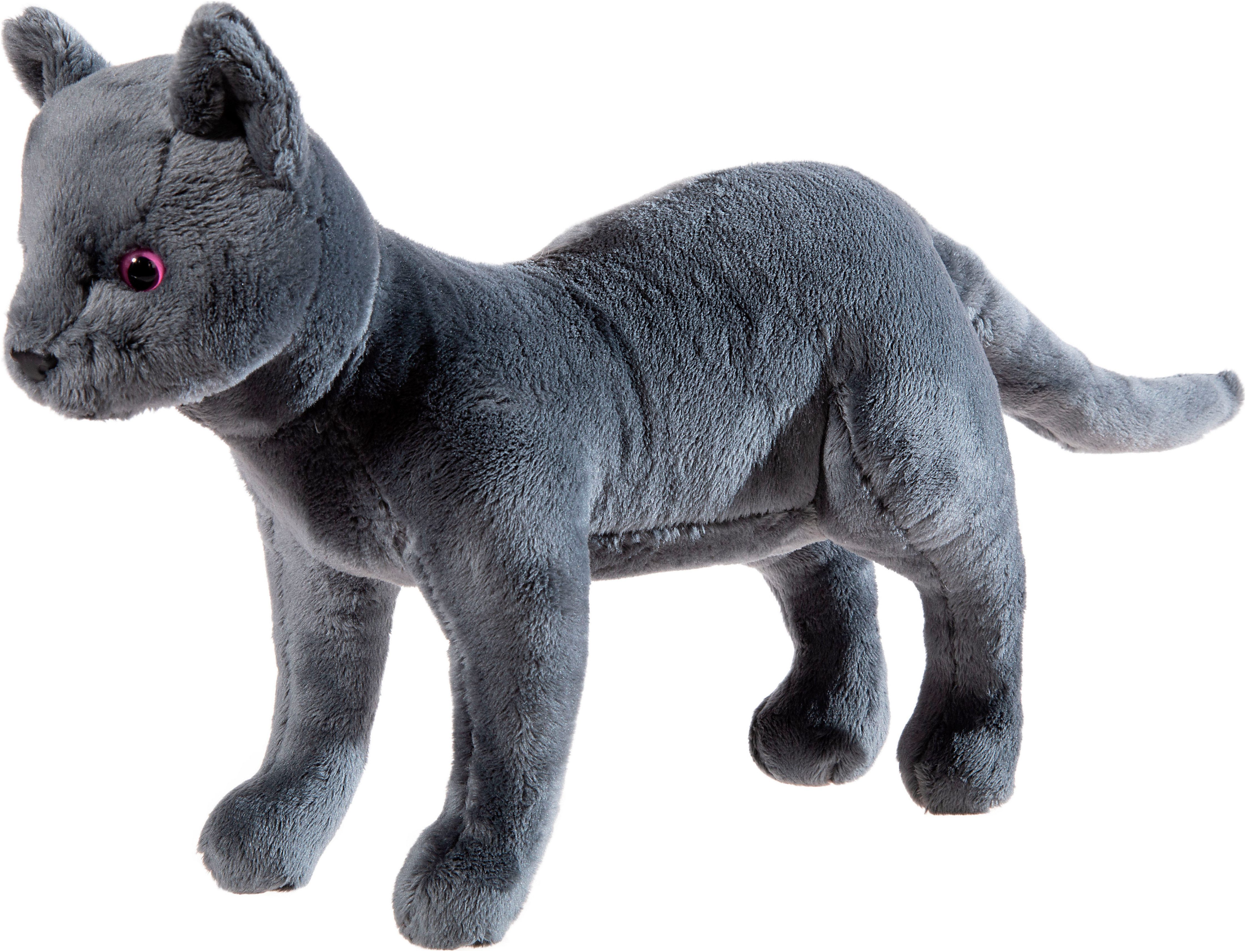 Heunec® Kuscheltier Die Schule der Magischen Tiere, Katze Karajan 30 cm
