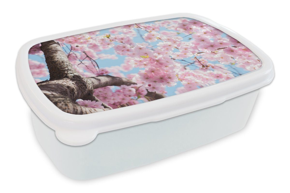 Brotbox - Mädchen Lunchbox Erwachsene, Sakura für und Baum, - Jungs weiß (2-tlg), und Kunststoff, für MuchoWow Blumen Kinder Brotdose,