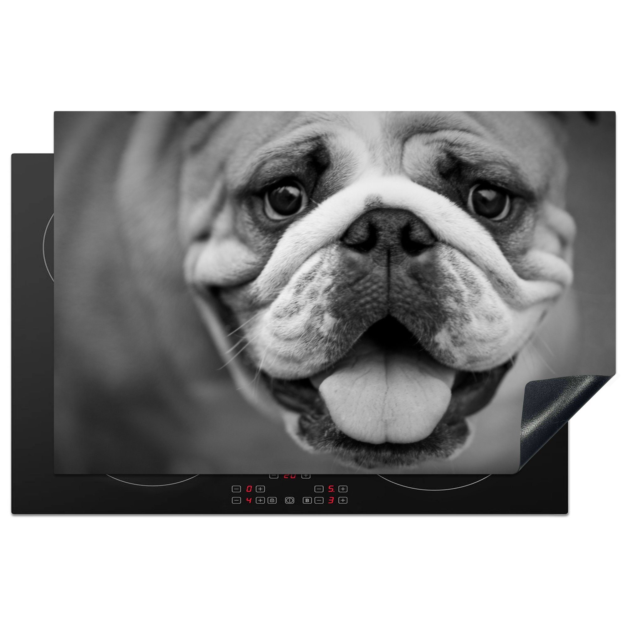 MuchoWow Herdblende-/Abdeckplatte Tierprofil Bulldogge in schwarz und weiß, Vinyl, (1 tlg), 81x52 cm, Induktionskochfeld Schutz für die küche, Ceranfeldabdeckung
