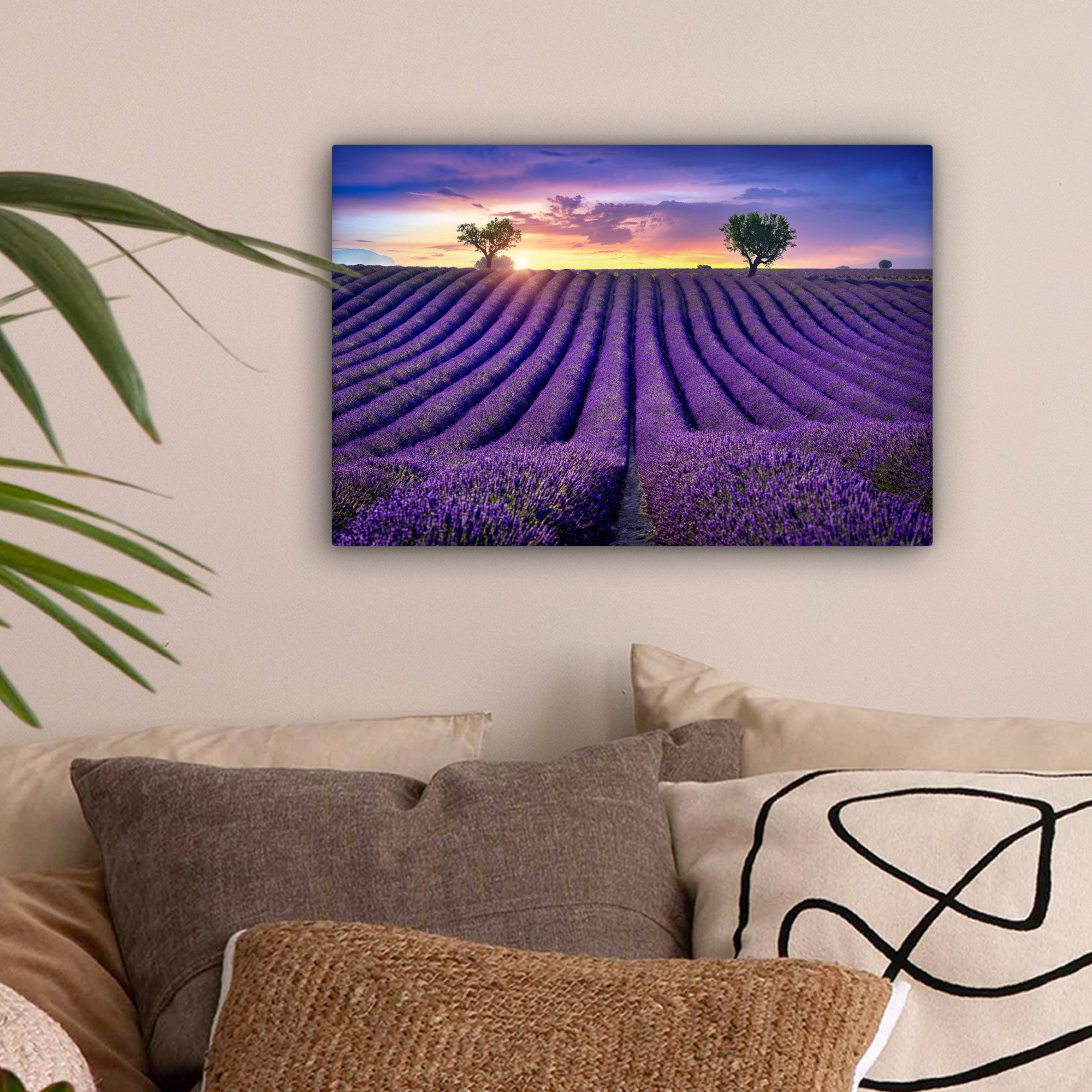 OneMillionCanvasses® Leinwandbild Lavendel - Hügel - günstig online kaufen