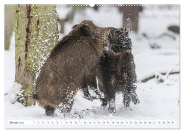 CALVENDO Wandkalender Emotionale Momente: Wild und Jagd. (Premium, hochwertiger DIN A2 Wandkalender 2023, Kunstdruck in Hochglanz)