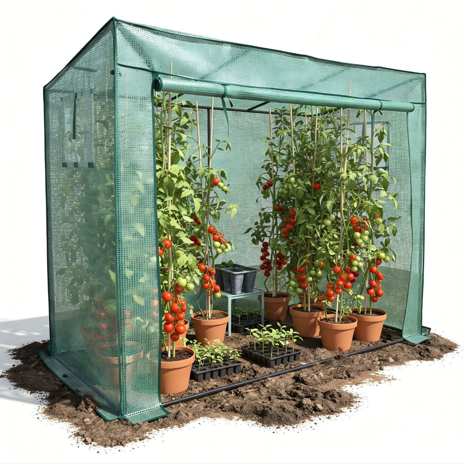 Coemo Hochbeet (1 St), Tomaten Gewächshaus Gitternetzfolie, Anzucht Treibhaus