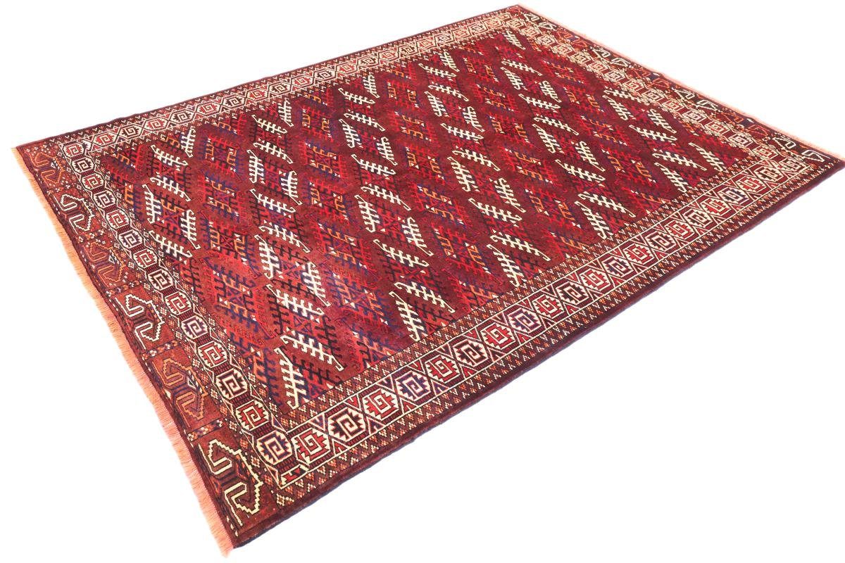 Orientteppich Turkaman 207x289 Handgeknüpfter Orientteppich Trading, Höhe: Nain rechteckig, 6 / mm Perserteppich