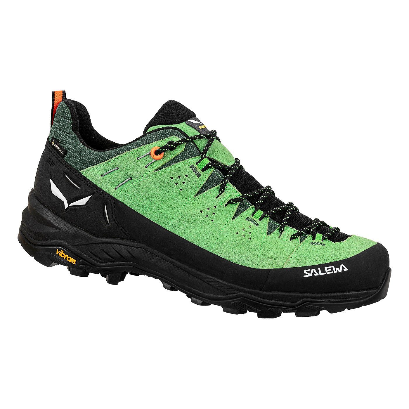 Salewa Alp Trainer 2 GTX (Alpine, günstig online kaufen