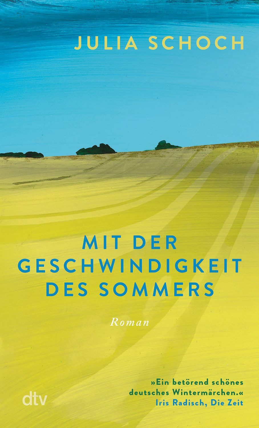 Belletristik Mit der Geschwindigkeit des Sommers Roman, Über ein Leben vor und nac Julia Schoch