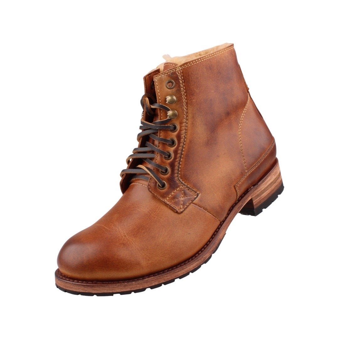 11397-Evolution Tang-gef Stiefel