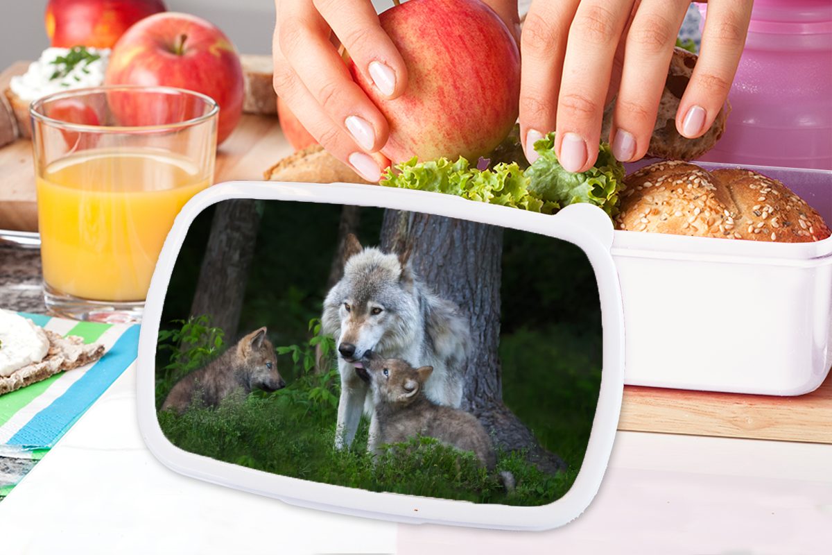 Pflanzen Brotbox - (2-tlg), weiß für Wald, Wölfe Mädchen für und Brotdose, Erwachsene, Lunchbox - Kunststoff, Kinder und MuchoWow Jungs