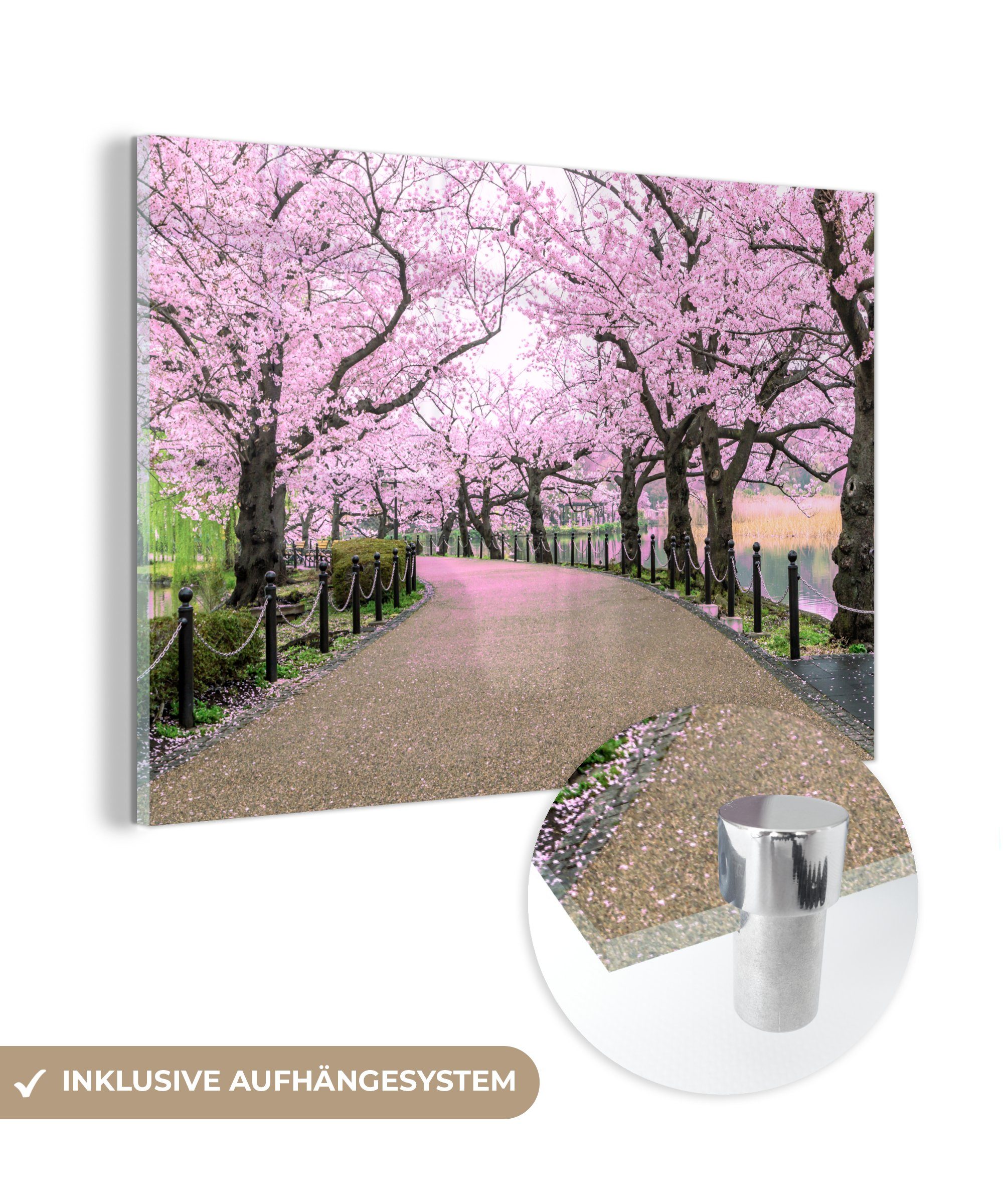 MuchoWow Acrylglasbild Sakura - Frühling - Japan, (1 St), Acrylglasbilder Wohnzimmer & Schlafzimmer