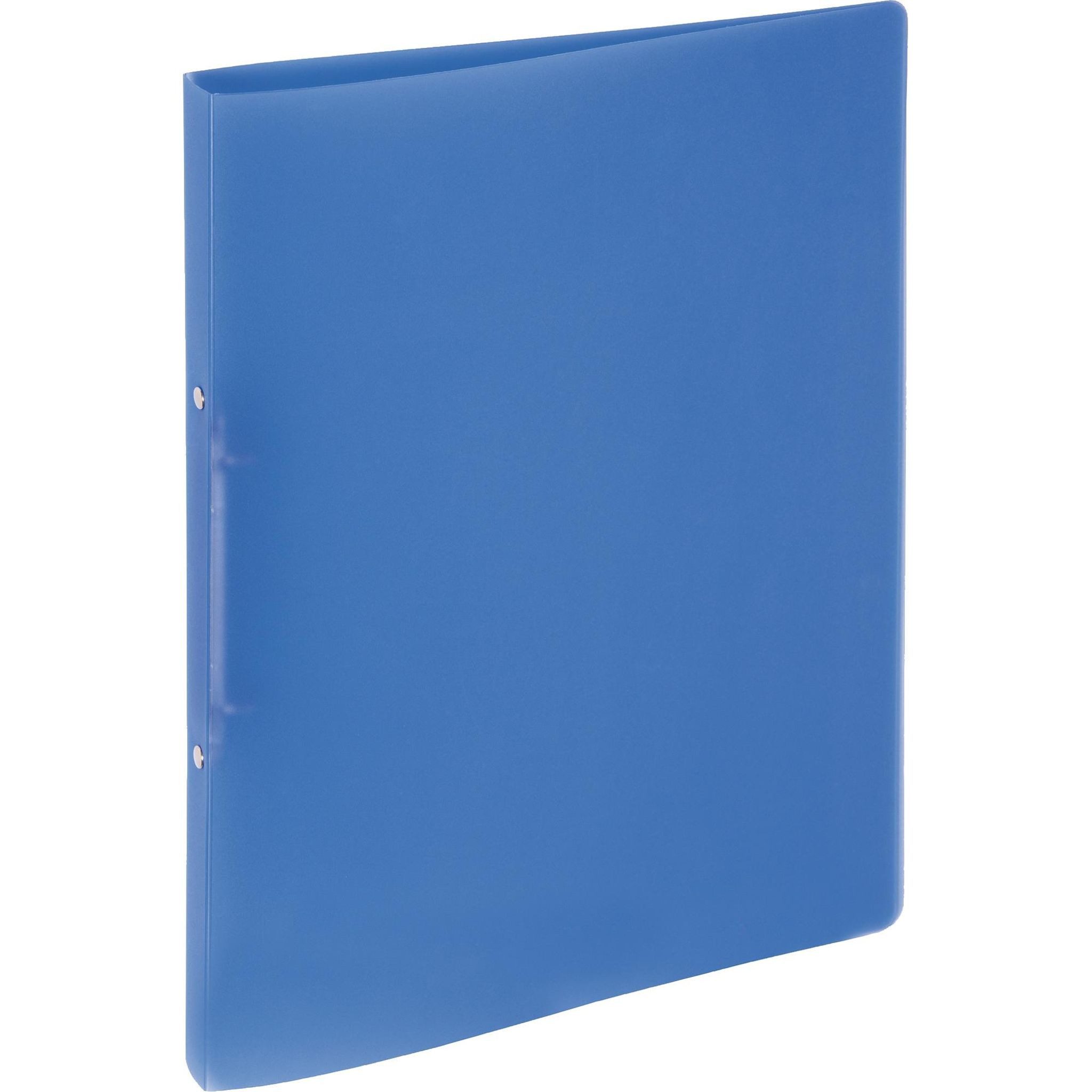PAGNA Ringbuchmappe Pagna Ringbuch A4 16mm PP 2-Ring-Mechanik blau