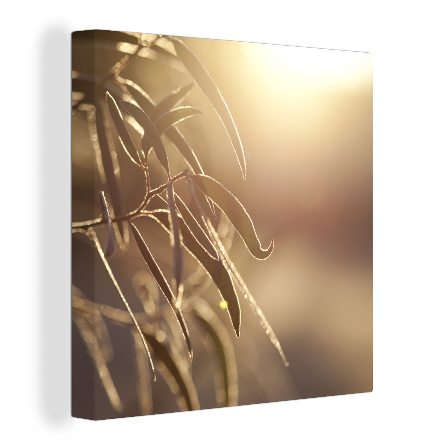 OneMillionCanvasses® Leinwandbild Eukalyptusblätter in der Morgendämmerung, (1 St), Leinwand Bilder für Wohnzimmer Schlafzimmer