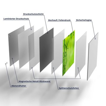DEQORI Magnettafel 'Grüne Bambushalme', Whiteboard Pinnwand beschreibbar