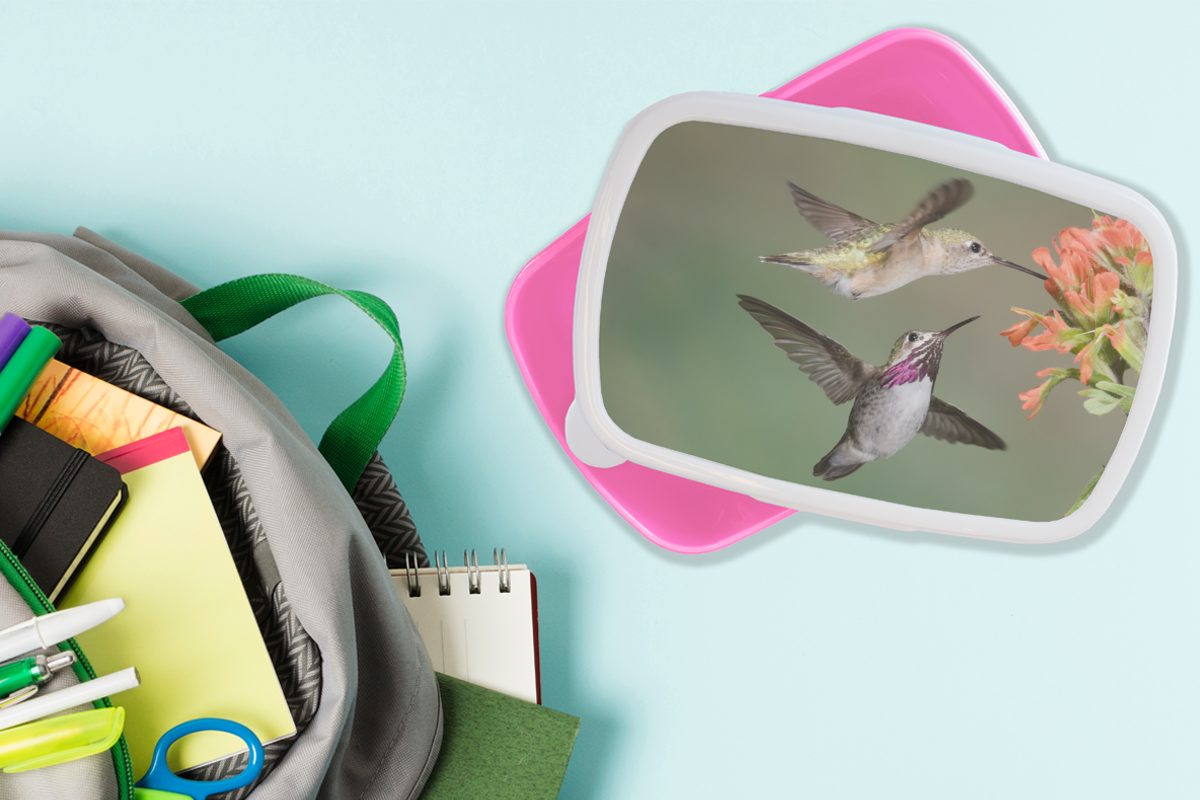 MuchoWow Lunchbox Kolibri - Vogel - Kinder, (2-tlg), für Erwachsene, Brotdose Snackbox, Kunststoff Mädchen, rosa Brotbox Kunststoff, Blume