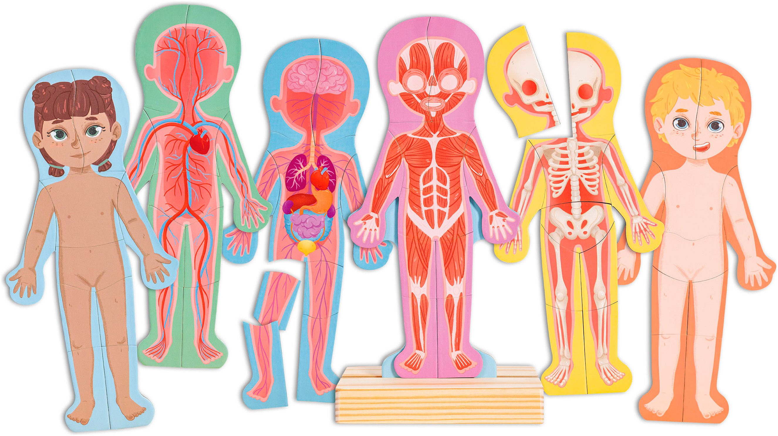 Hape Konturenpuzzle Menschlicher Körper, 63 Puzzleteile