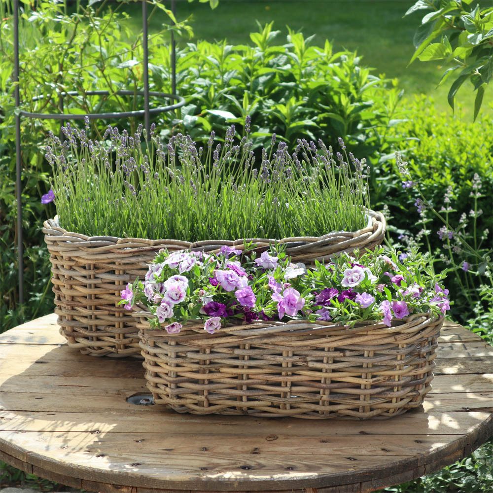 Grafelstein Blumentopf Pflanzkorb BASKET grau aus Rattan ovale Pflanzschale günstig online kaufen