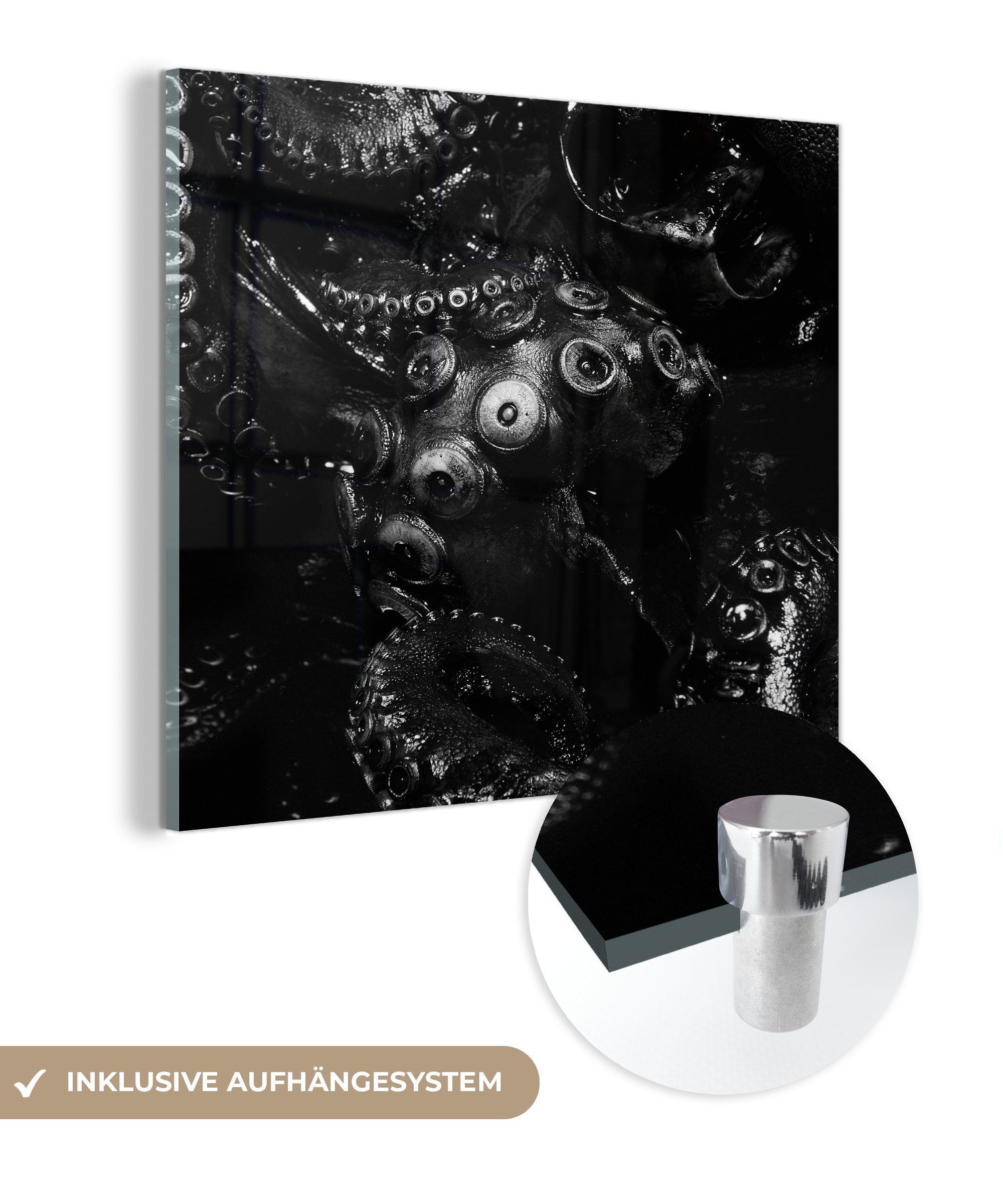MuchoWow Acrylglasbild Nahaufnahme Oktopus auf schwarzem Hintergrund in schwarz und weiß, (1 St), Glasbilder - Bilder auf Glas Wandbild - Foto auf Glas - Wanddekoration