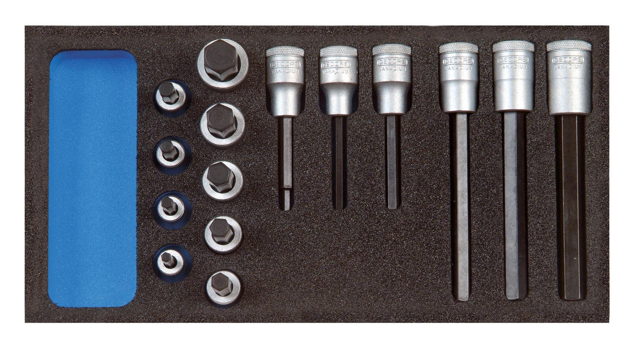 Gedore Schraubendreher, (15 St), Werkzeugmodul CT1/3 Einsatz 6-kant