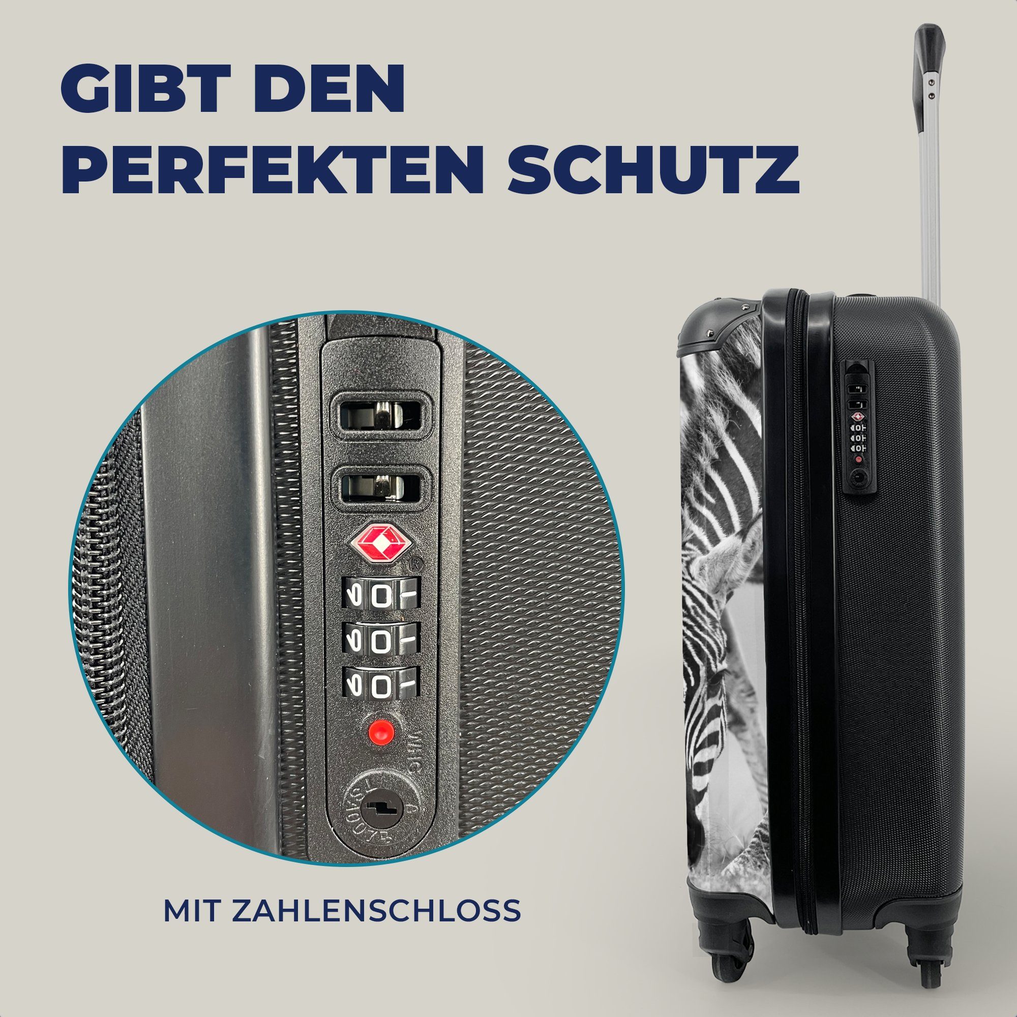 MuchoWow Handgepäckkoffer Weidende Zebras, 4 Rollen, Reisetasche für Reisekoffer Trolley, Ferien, Handgepäck rollen, mit