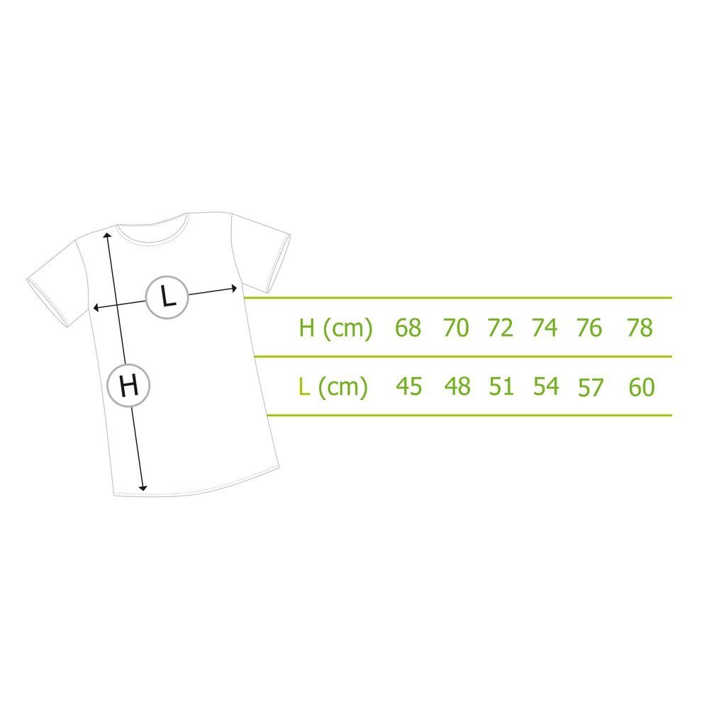 Fullmetal Alchemist T-Shirt