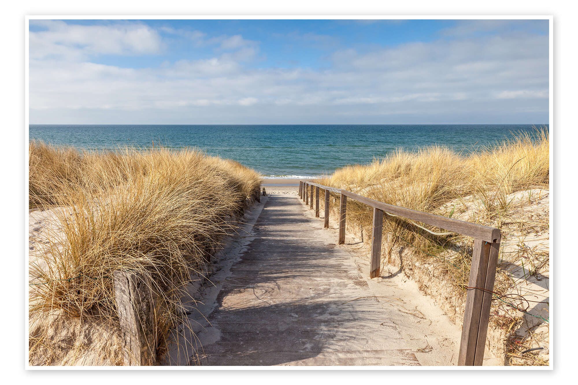 Posterlounge Wandbild Weg zum Strand an der Ostsee, Christian Müringer, erhältlich als Poster, Leinwandbild, Wandsticker oder Acrylglasbild