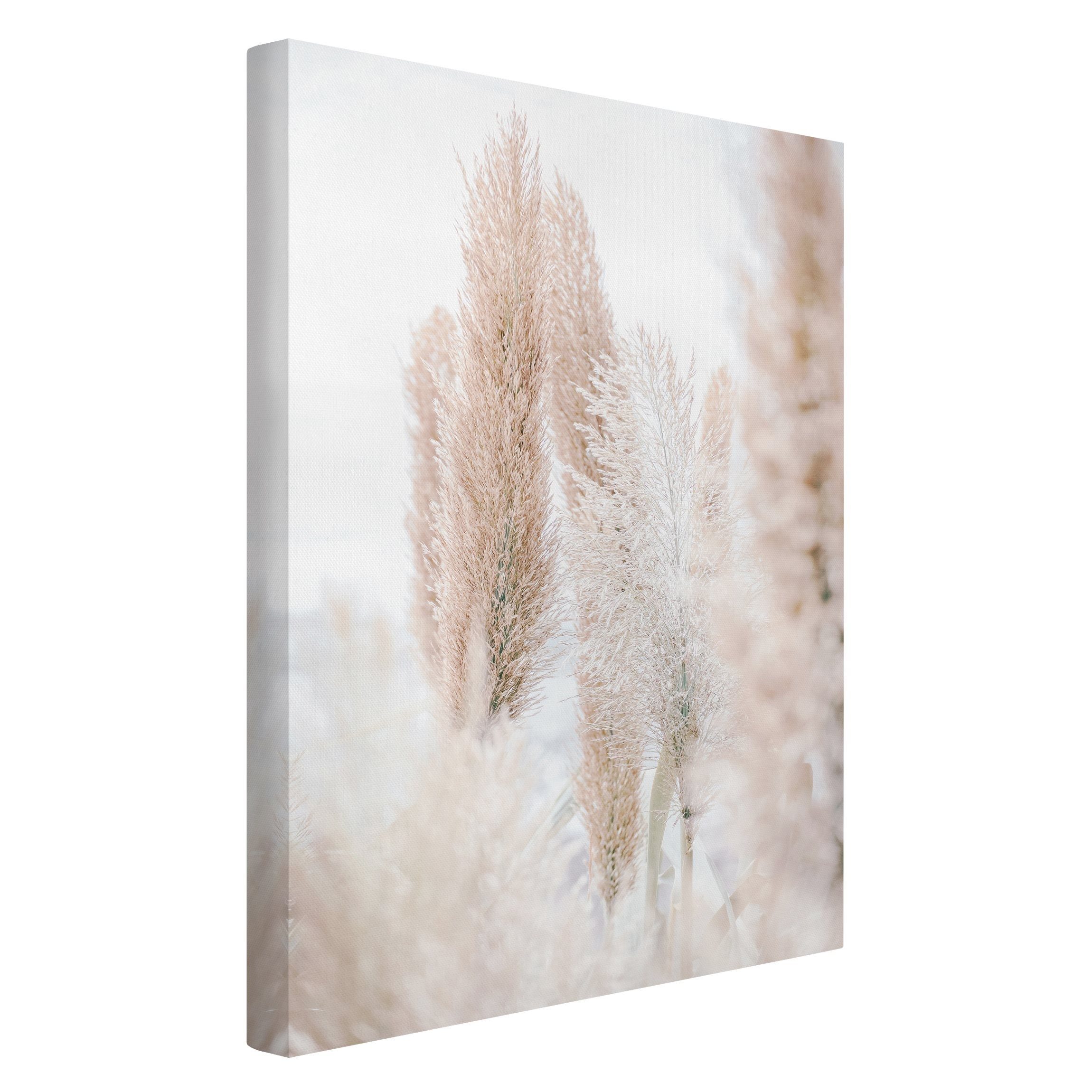 Bilderdepot24 Leinwandbild Kunstdruck Pampasgras Weißen Licht günstig online kaufen