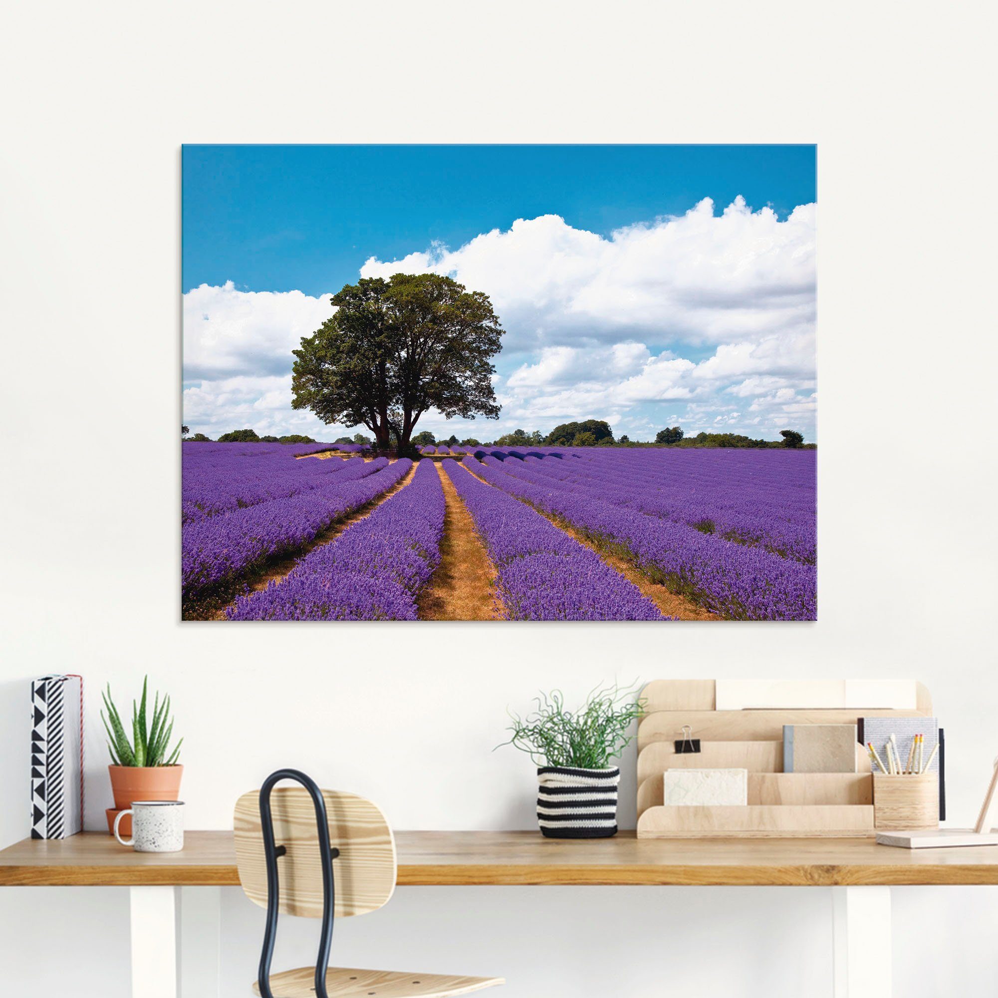 Lavendelfeld Artland (1 Felder im verschiedenen Sommer, in Schönes St), Glasbild Größen