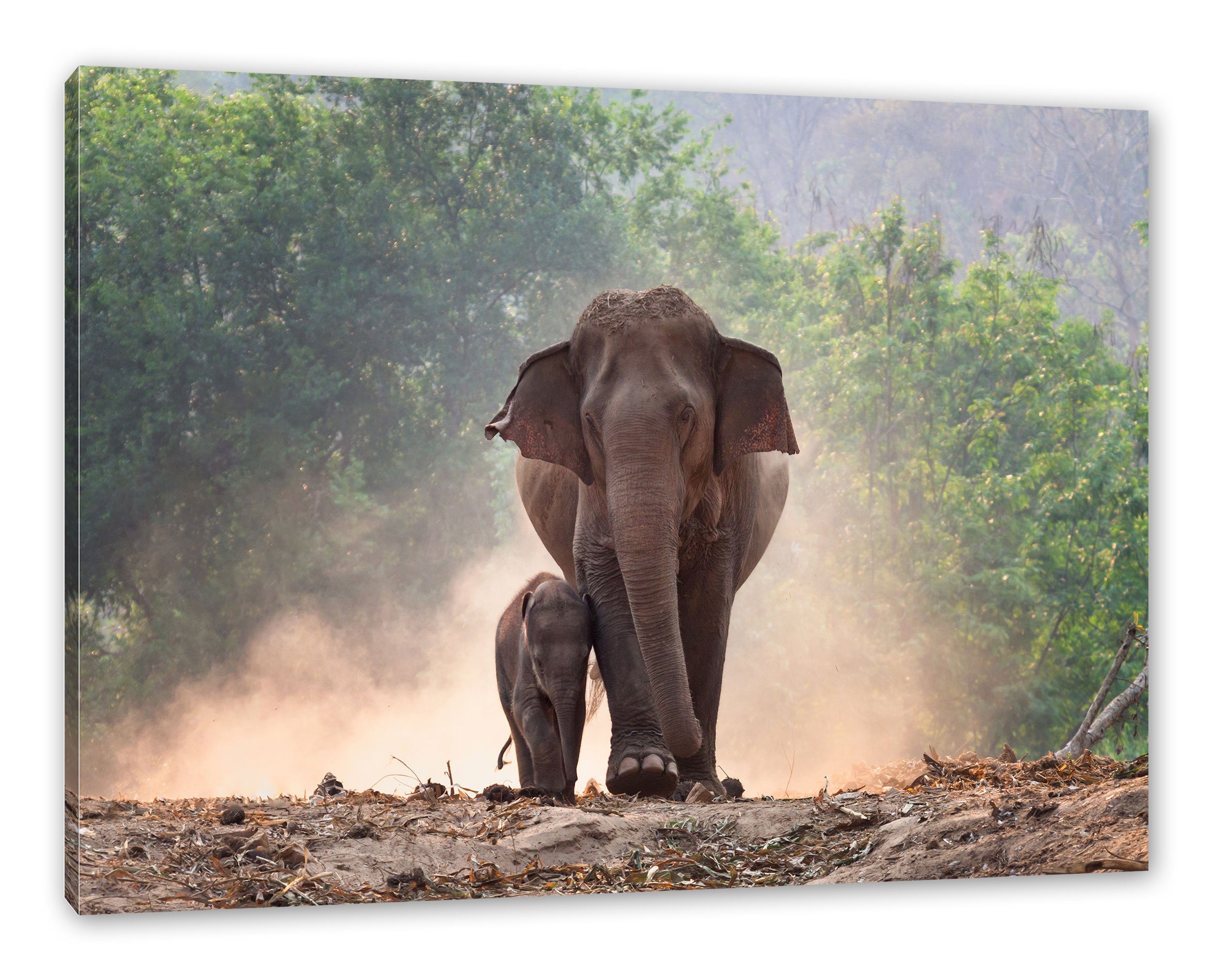 Pixxprint Leinwandbild Elefantenbaby mit Mutter, Elefantenbaby mit Mutter (1 St), Leinwandbild fertig bespannt, inkl. Zackenaufhänger